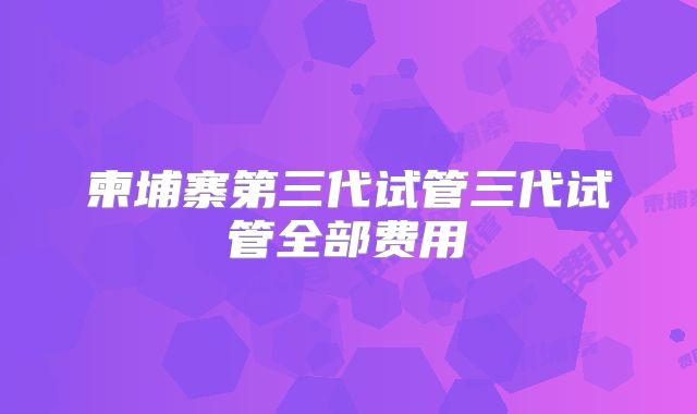 柬埔寨第三代试管三代试管全部费用