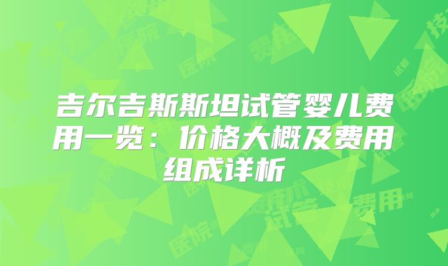 吉尔吉斯斯坦试管婴儿费用一览：价格大概及费用组成详析