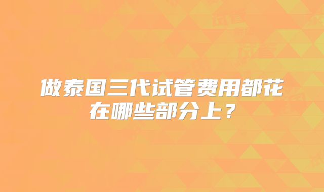 做泰国三代试管费用都花在哪些部分上？