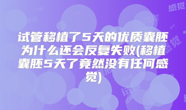 试管移植了5天的优质囊胚为什么还会反复失败(移植囊胚5天了竟然没有任何感觉)