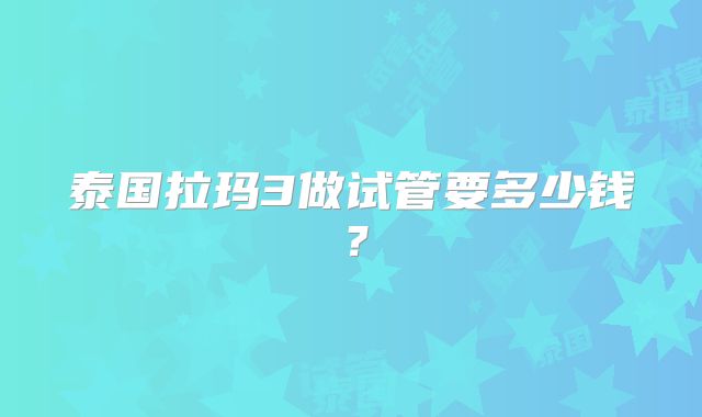 泰国拉玛3做试管要多少钱？