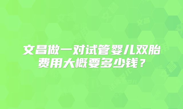 文昌做一对试管婴儿双胎费用大概要多少钱？