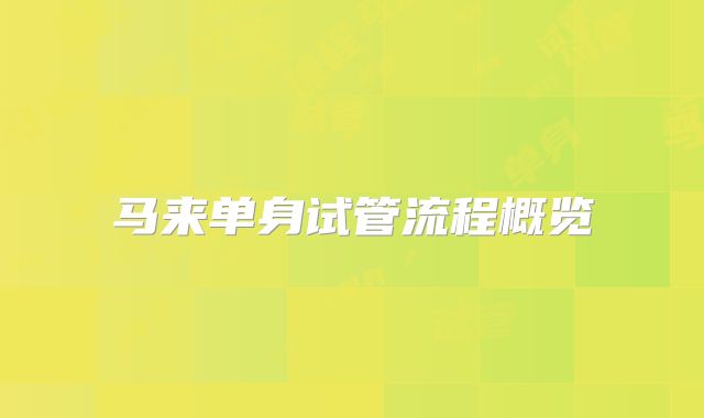 马来单身试管流程概览