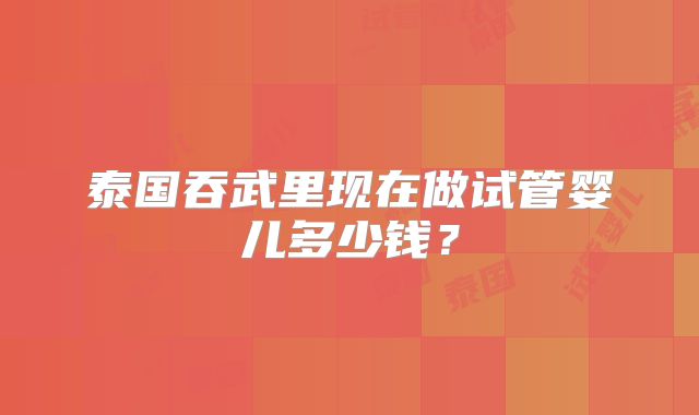 泰国吞武里现在做试管婴儿多少钱?