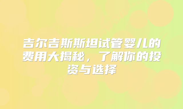 吉尔吉斯斯坦试管婴儿的费用大揭秘,了解你的投资与选择