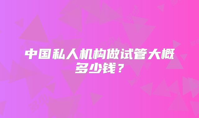 中国私人机构做试管大概多少钱？