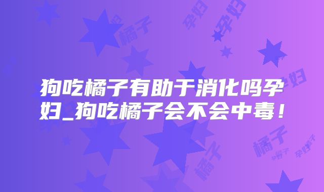 狗吃橘子有助于消化吗孕妇_狗吃橘子会不会中毒！
