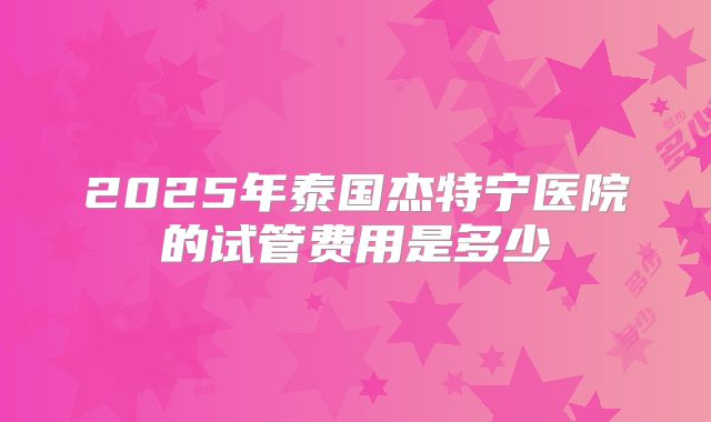 2025年泰国杰特宁医院的试管费用是多少