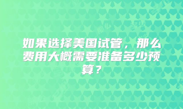 如果选择美国试管，那么费用大概需要准备多少预算？