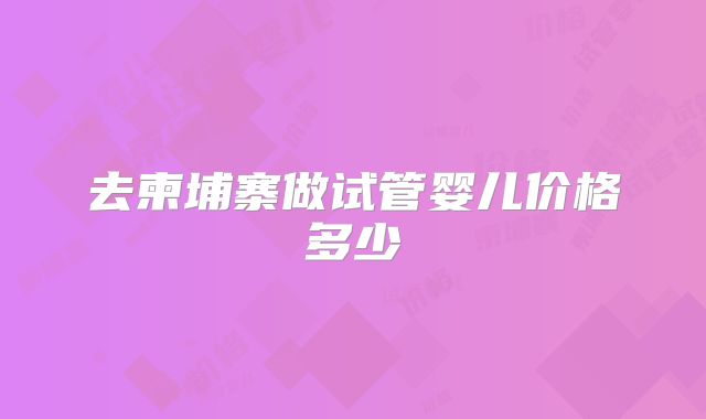 去柬埔寨做试管婴儿价格多少