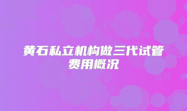 黄石私立机构做三代试管费用概况