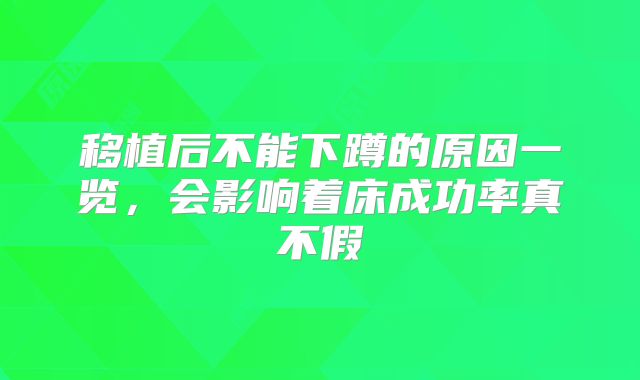 移植后不能下蹲的原因一览，会影响着床成功率真不假