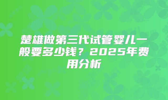 楚雄做第三代试管婴儿一般要多少钱？2025年费用分析