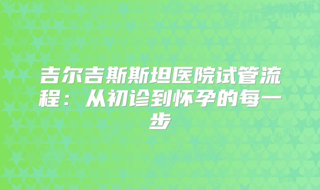 吉尔吉斯斯坦医院试管流程：从初诊到怀孕的每一步