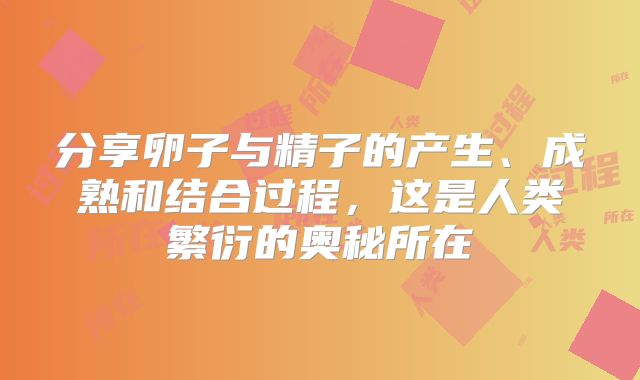 分享卵子与精子的产生、成熟和结合过程,这是人类繁衍的奥秘所在