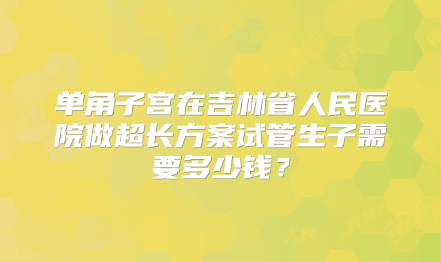 单角子宫在吉林省人民医院做超长方案试管生子需要多少钱？