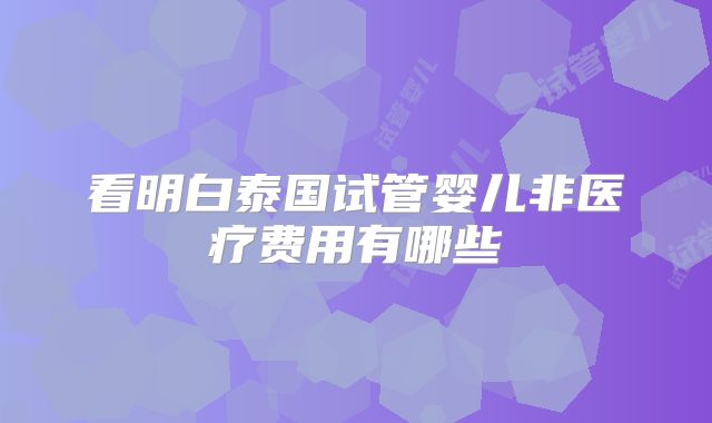 看明白泰国试管婴儿非医疗费用有哪些