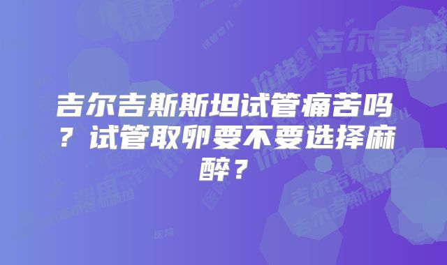吉尔吉斯斯坦试管痛苦吗？试管取卵要不要选择麻醉？