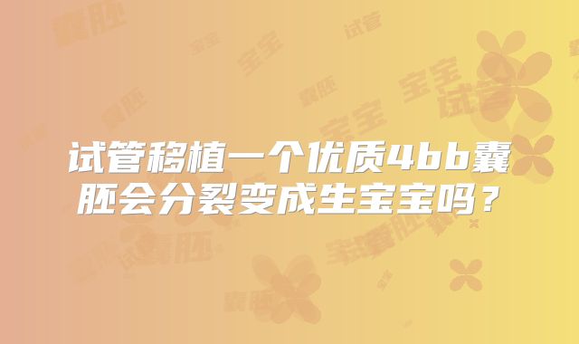 试管移植一个优质4bb囊胚会分裂变成生宝宝吗?