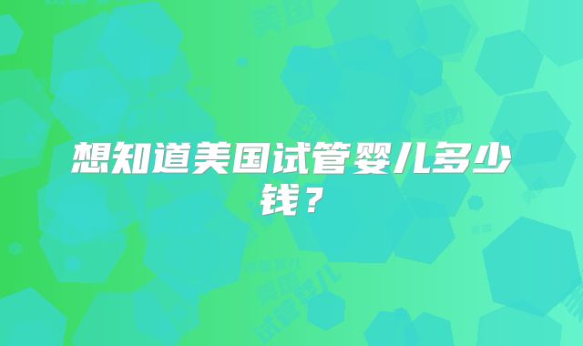 想知道美国试管婴儿多少钱?