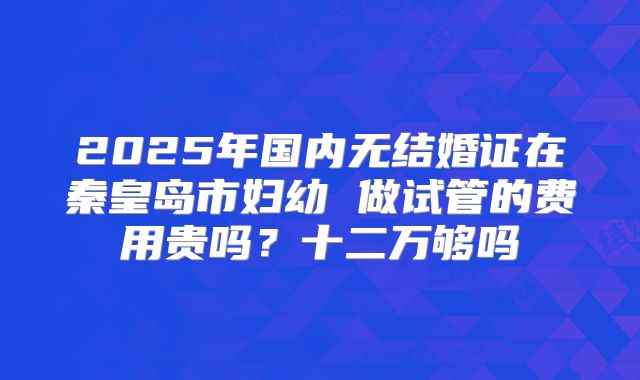 2025年国内无结婚证在秦皇岛市妇幼 做试管的费用贵吗？十二万够吗