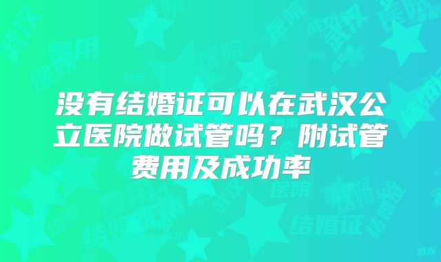 没有结婚证可以在武汉公立医院做试管吗?附试管费用及成功率
