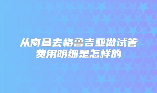 从南昌去格鲁吉亚做试管费用明细是怎样的