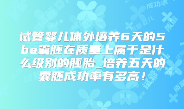 试管婴儿体外培养6天的5ba囊胚在质量上属于是什么级别的胚胎_培养五天的囊胚成功率有多高！