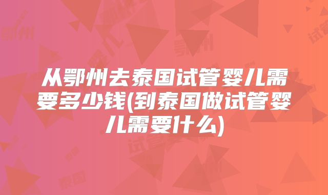 从鄂州去泰国试管婴儿需要多少钱(到泰国做试管婴儿需要什么)