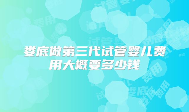 娄底做第三代试管婴儿费用大概要多少钱