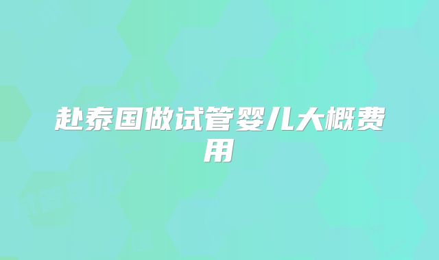 赴泰国做试管婴儿大概费用