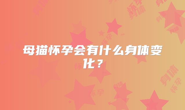 母猫怀孕会有什么身体变化？