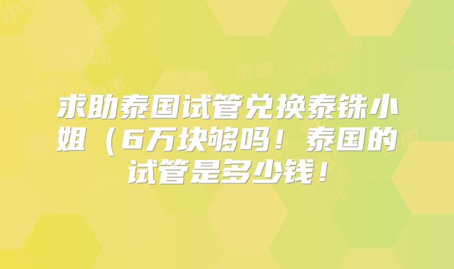 求助泰国试管兑换泰铢小姐（6万块够吗！泰国的试管是多少钱！