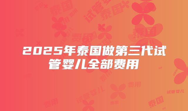 2025年泰国做第三代试管婴儿全部费用