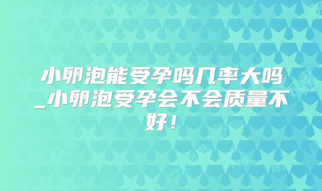 小卵泡能受孕吗几率大吗_小卵泡受孕会不会质量不好!