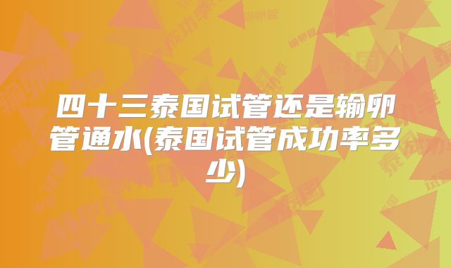 四十三泰国试管还是输卵管通水(泰国试管成功率多少)