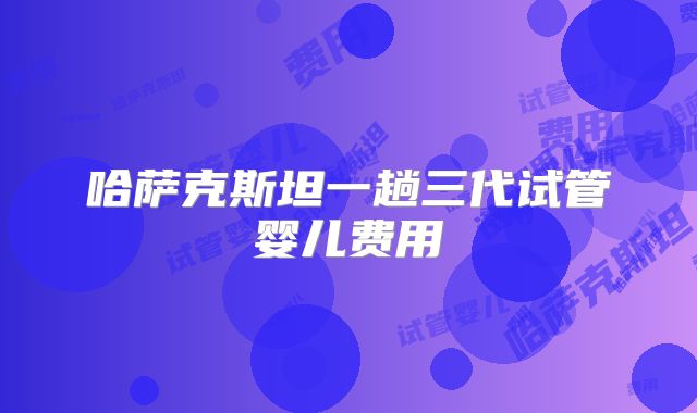 哈萨克斯坦一趟三代试管婴儿费用