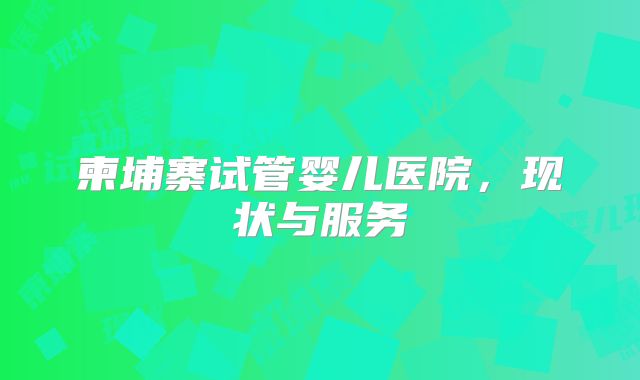 柬埔寨试管婴儿医院,现状与服务
