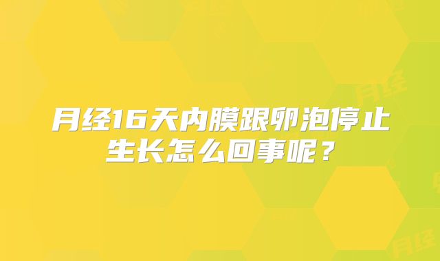 月经16天内膜跟卵泡停止生长怎么回事呢？