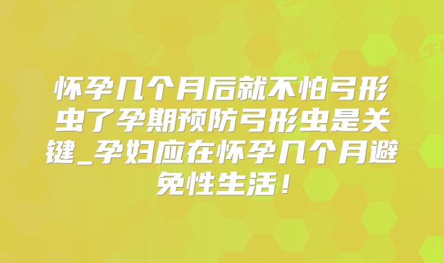 怀孕几个月后就不怕弓形虫了孕期预防弓形虫是关键_孕妇应在怀孕几个月避免性生活!