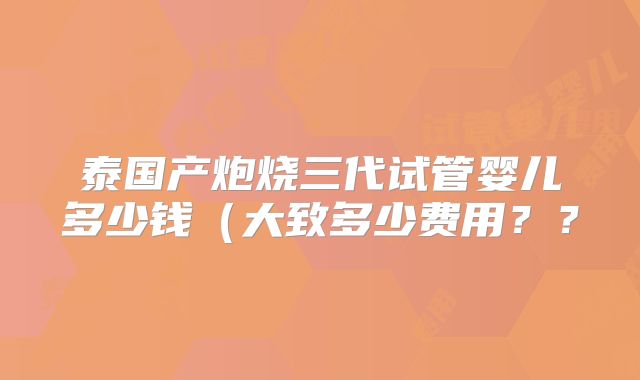泰国产炮烧三代试管婴儿多少钱(大致多少费用??