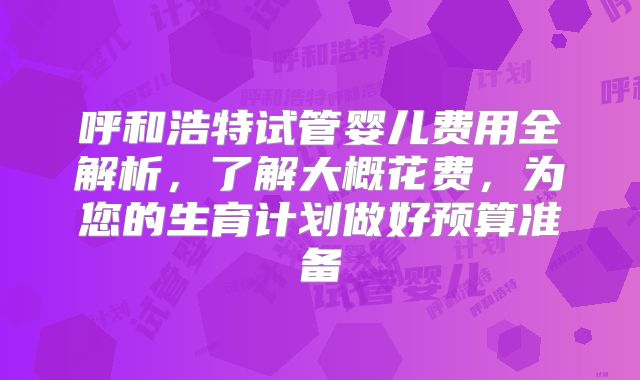 呼和浩特试管婴儿费用全解析,了解大概花费,为您的生育计划做好预算准备