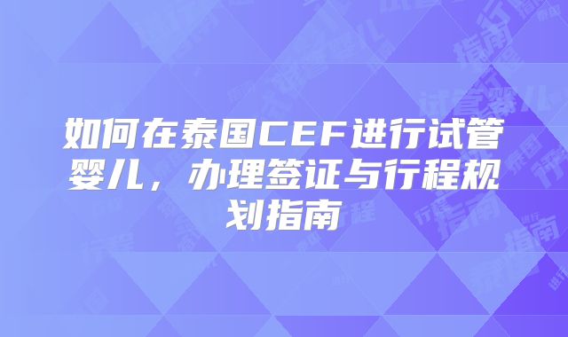 如何在泰国CEF进行试管婴儿,办理签证与行程规划指南