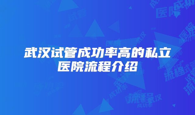 武汉试管成功率高的私立医院流程介绍