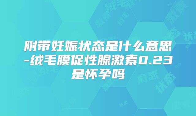 附带妊娠状态是什么意思-绒毛膜促性腺激素0.23是怀孕吗