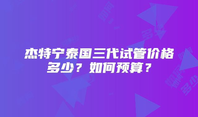 杰特宁泰国三代试管价格多少?如何预算?