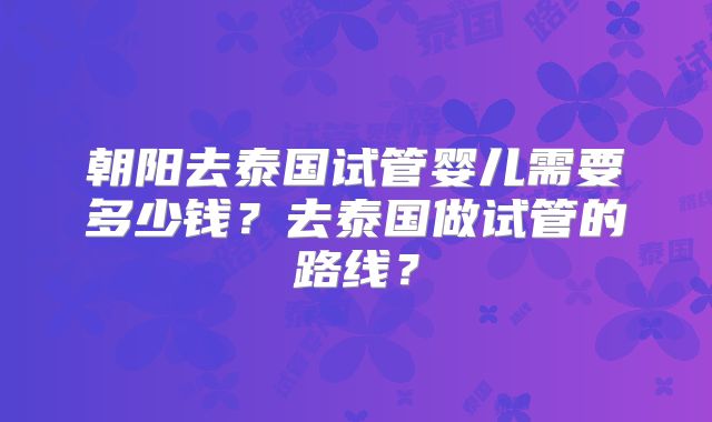 朝阳去泰国试管婴儿需要多少钱?去泰国做试管的路线?