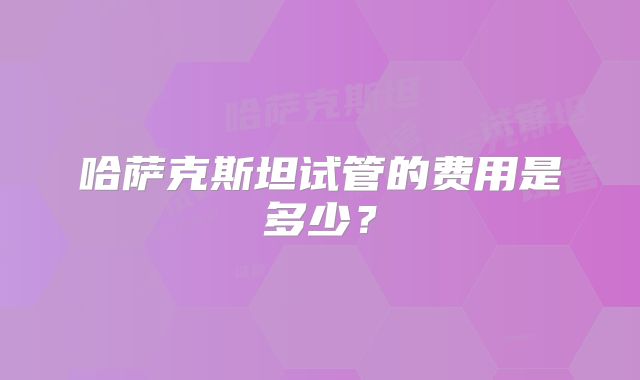 哈萨克斯坦试管的费用是多少？