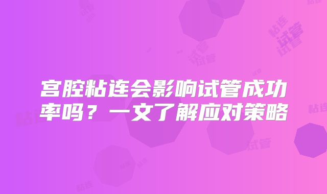 宫腔粘连会影响试管成功率吗?一文了解应对策略