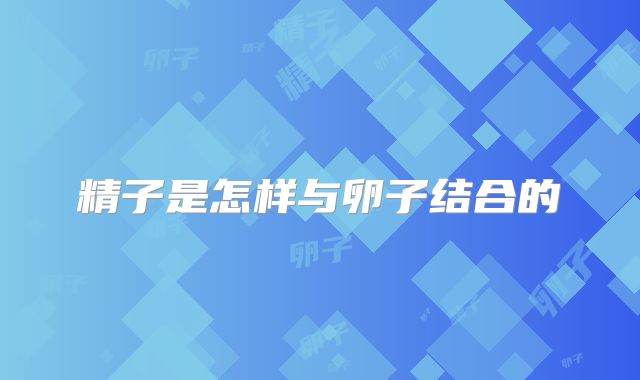 精子是怎样与卵子结合的